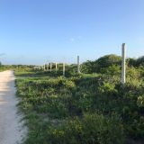 2 Terrenos en San Benito ($2,000,000 MXN c/u)